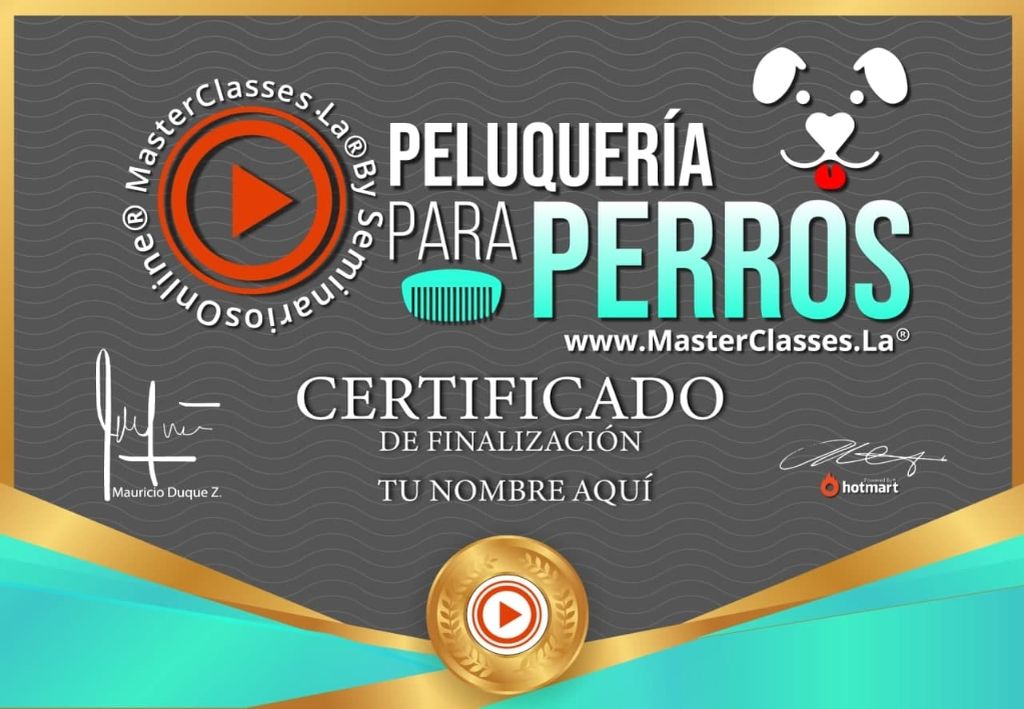 Certificado Peluquería para perros como negocio