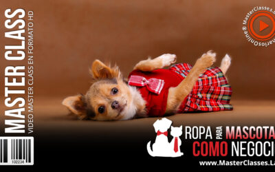 Ideas de Negocios | Ropa para Mascotas como Negocio