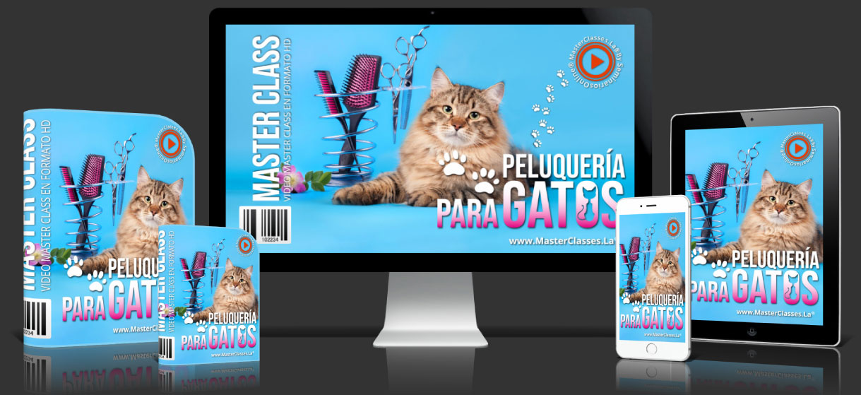 Master Peluquería para gatos como Negocio