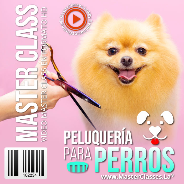 Master Peluquería para perros como negocio