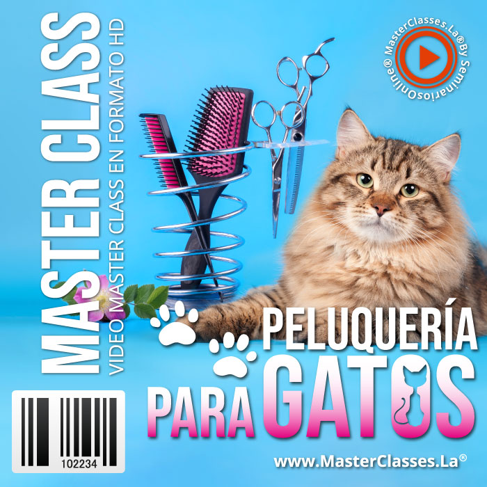 Master Peluquería para gatos como Negocio