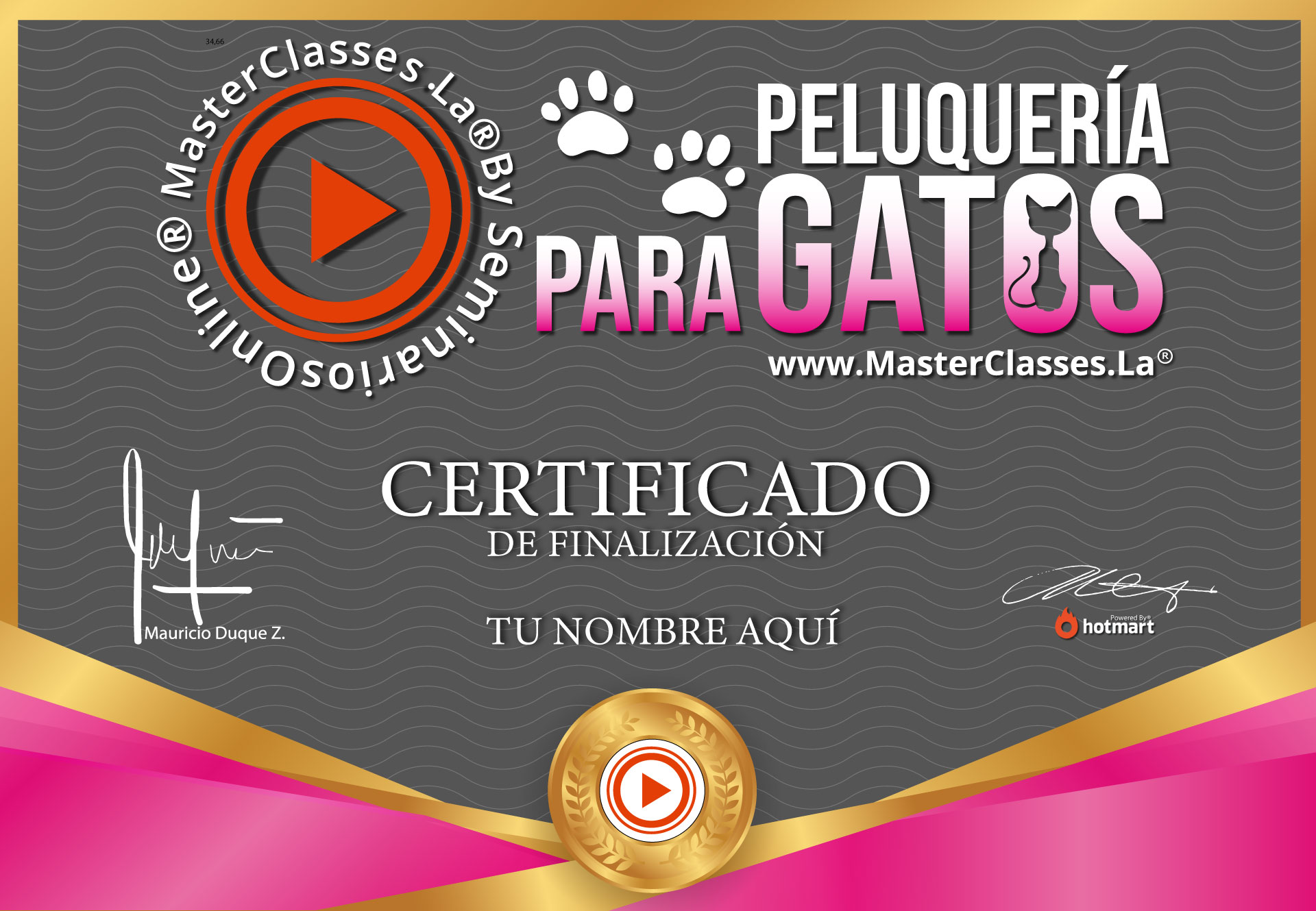 Certificado Peluquería para gatos como Negocio