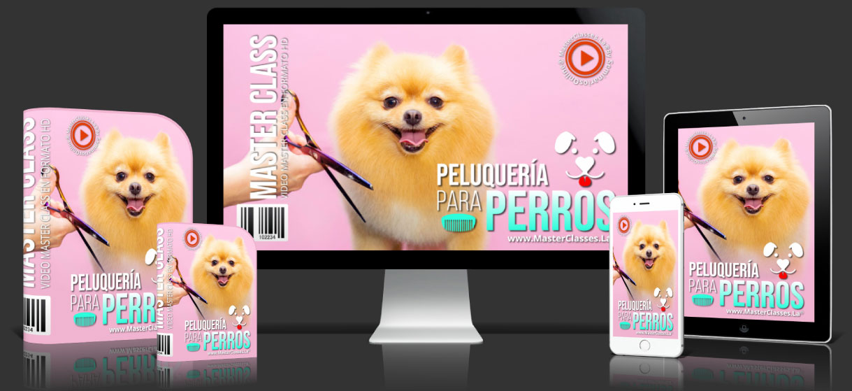 Cover Peluquería para perros como negocio