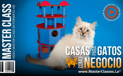 Casas para Gatos como Negocio