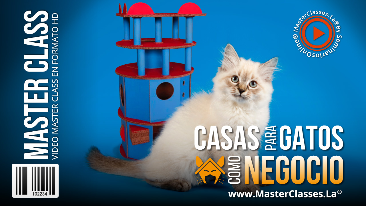 Casas para Gatos como idea de Negocio