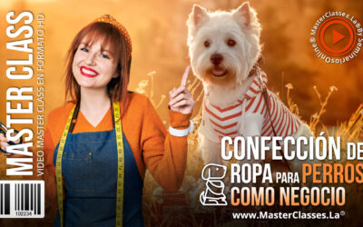 Confección de Ropa para Perros como Negocio