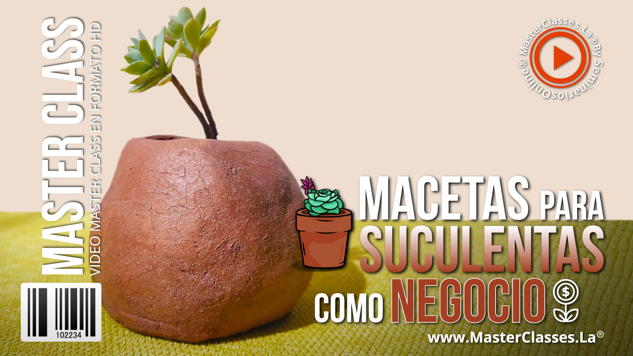 Macetas para Suculentas como Negocio