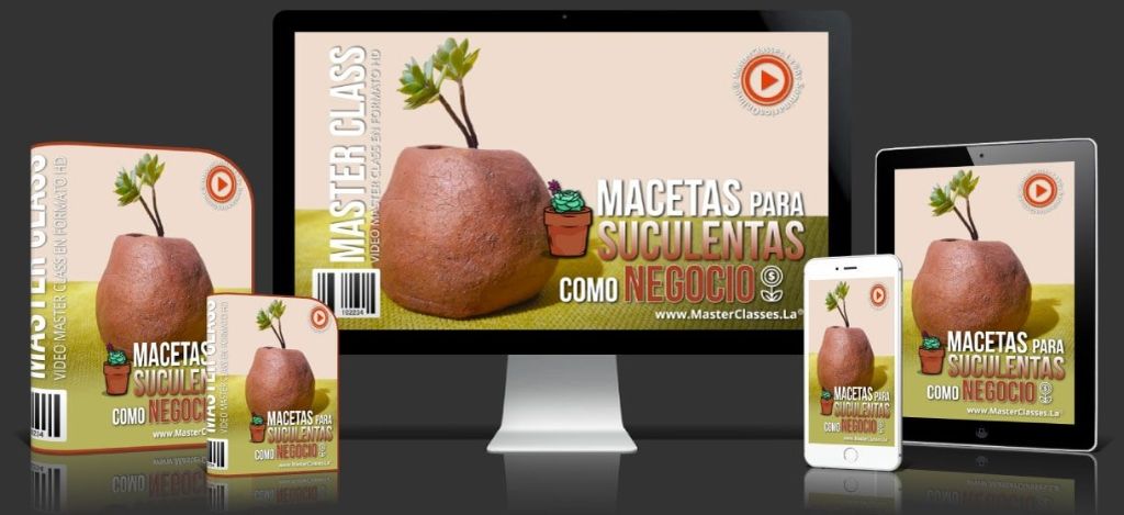 Cover Macetas para Suculentas como idea de Negocio