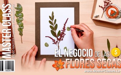 Ideas de Negocios Rentables para Emprender Hoy 23 El Negocio de las Flores Secas