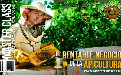 Ideas de Negocios Rentables para Emprender Hoy 18 El Rentable Negocio de la Apicultura