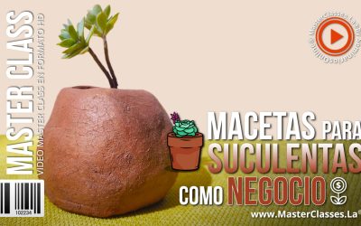 Ideas de Negocios Rentables para Emprender Hoy 9 Macetas para Suculentas como Negocio